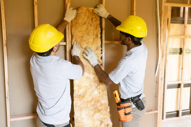 Best Soundproof Insulation  in Mccordsville, IN