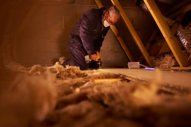 Eco-Friendly or Green Insulation Solutions in Mccordsville, IN